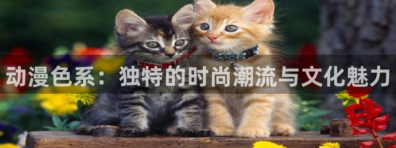 dmzj动漫之家：动漫色系：独特的时尚潮流与文化魅力