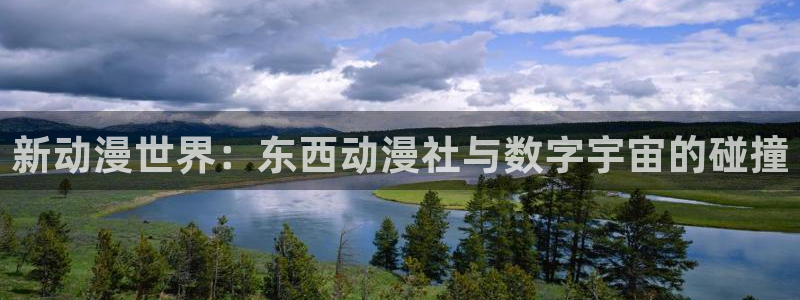 动漫之家,下载：新动漫世界：东西动漫社与数字宇宙的碰撞